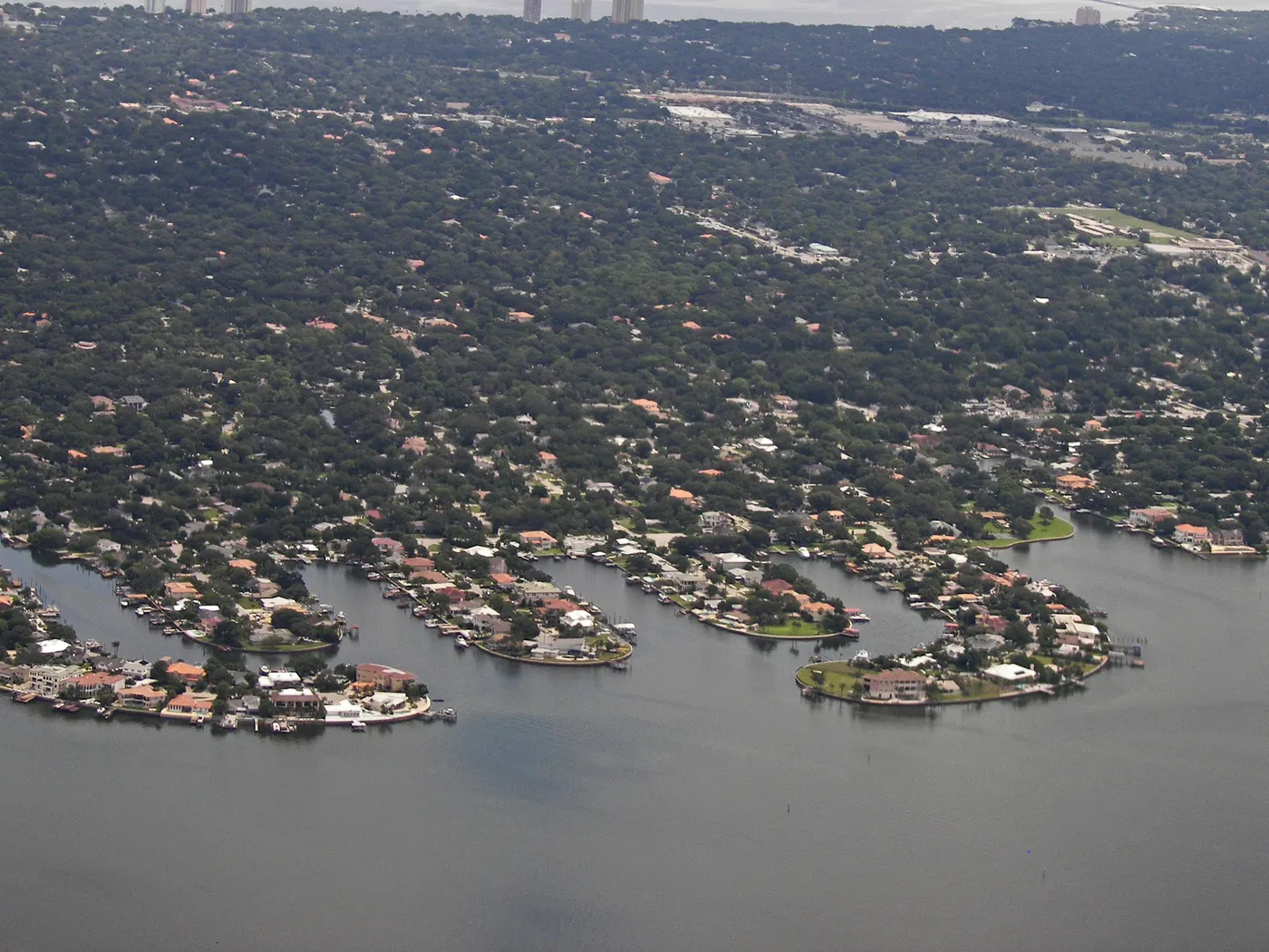 Aerial view of South Tampa: waterfront homes, tree canopy, and Old Tampa Bay